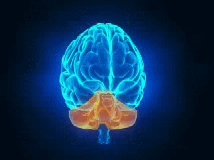 Rehabilitación Carlos Peñaloza